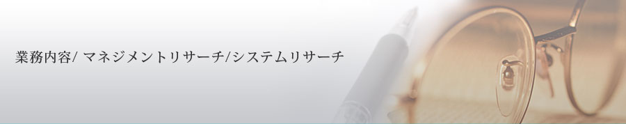 業務内容/ マネジメントリサーチ/システムリサーチ